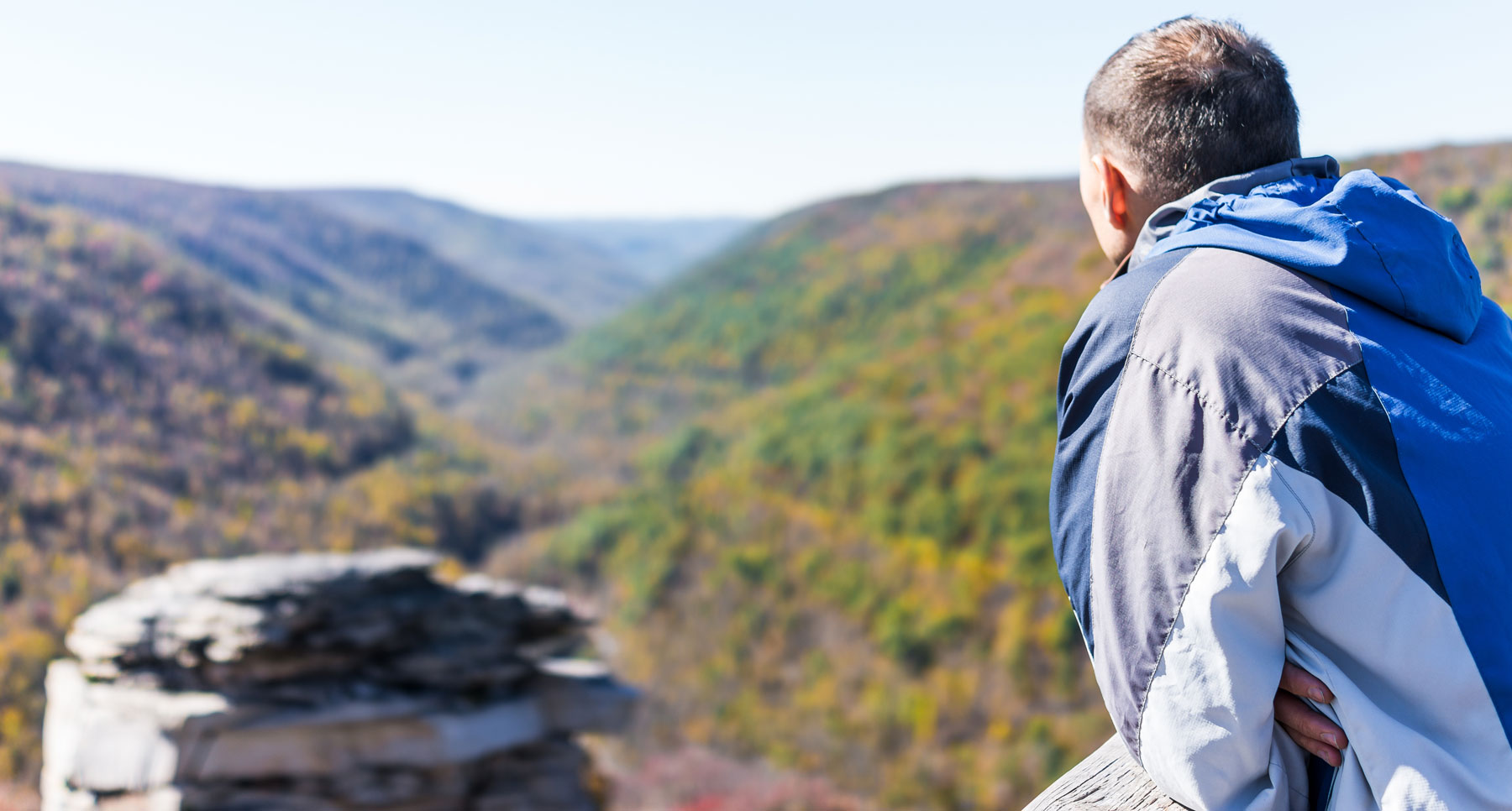 رجل يطل على الغابة