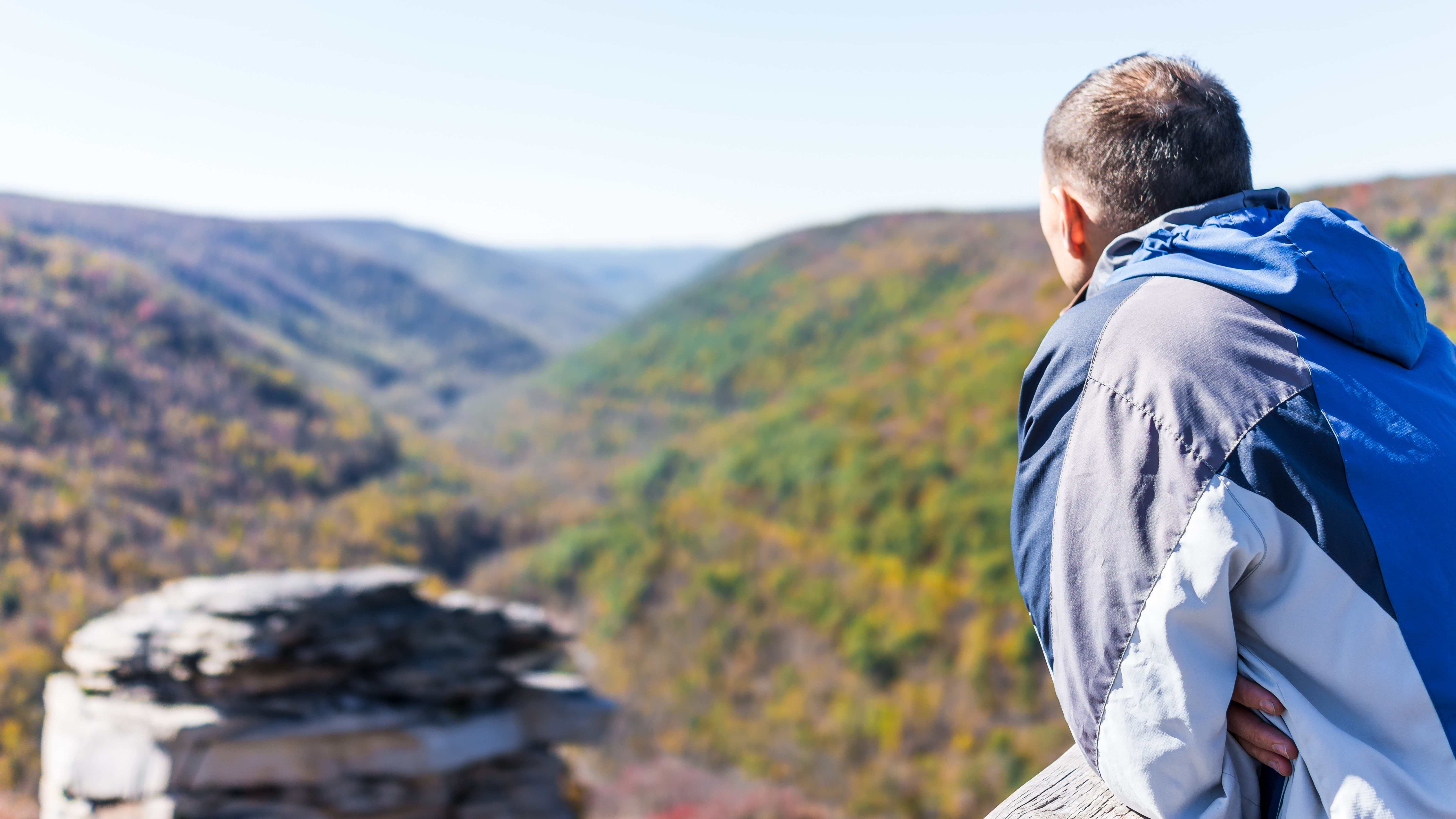 الإطلالة على الغابة